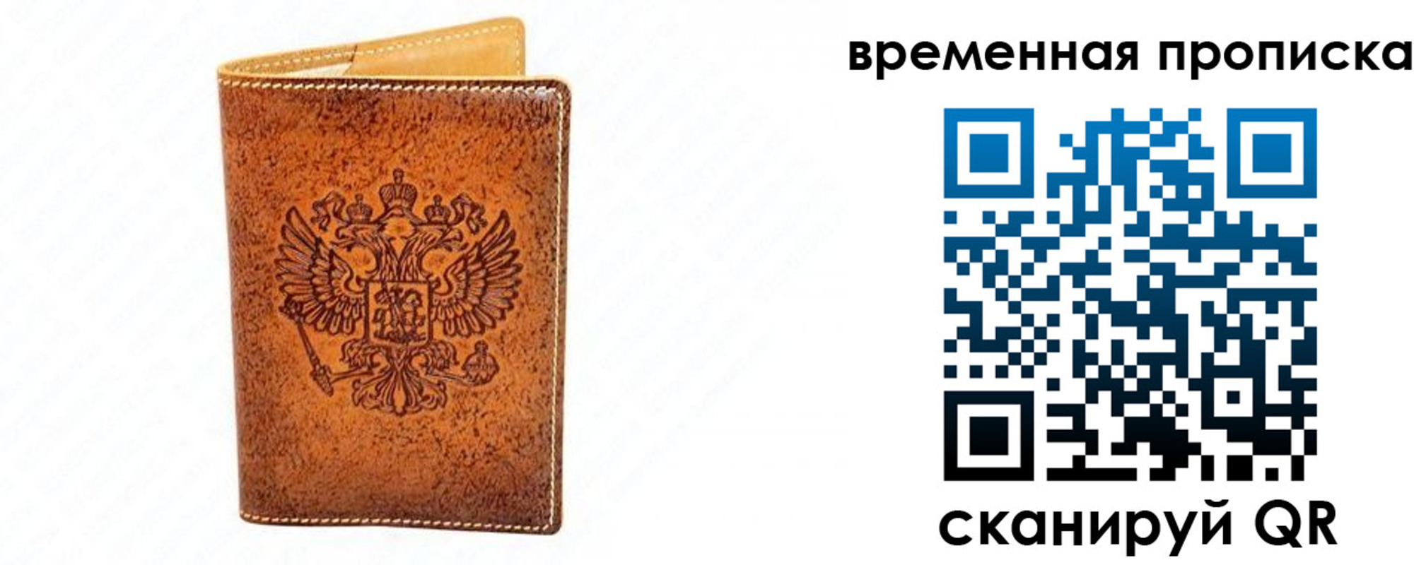 прописка ребенка в Коле